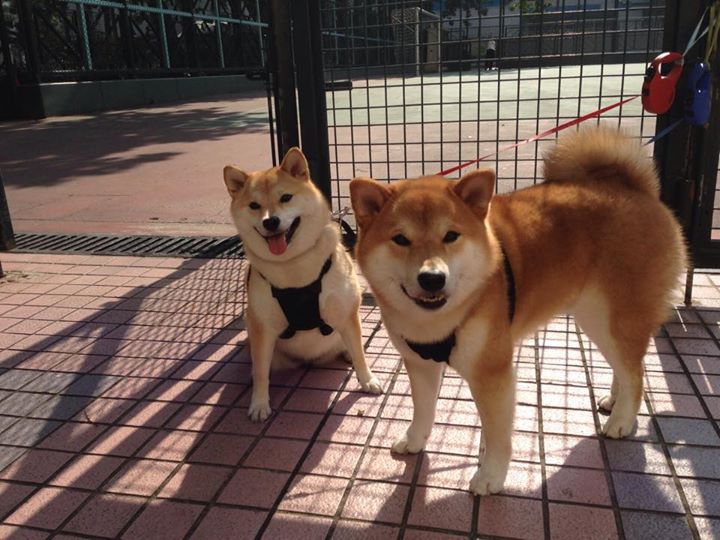 开云体育俱乐部官网-冰壶训练营青少年组首次增设体能项目，冰壶 训练