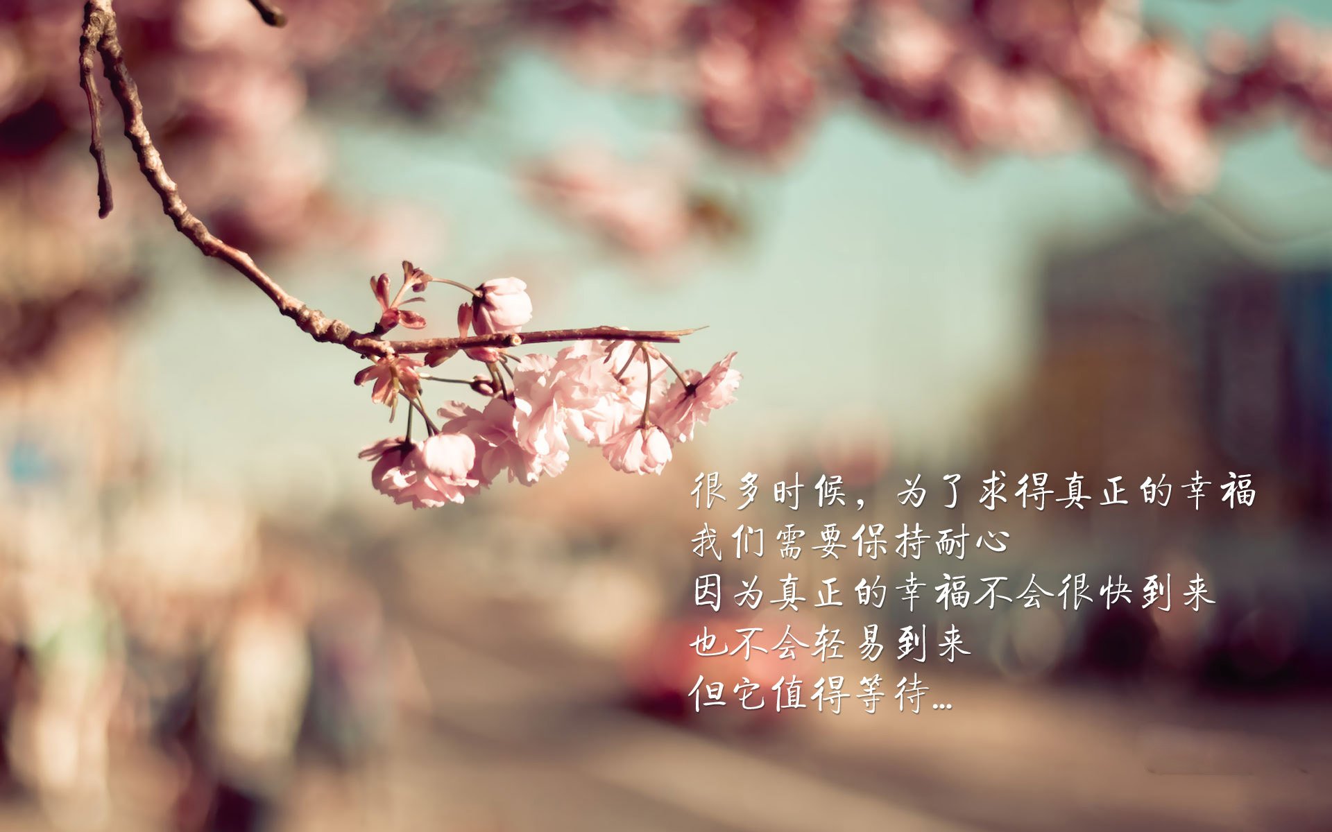 女子200混德国新秀游出好成绩,德国女子100米运动员